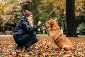 Ушастое чудо, солнечная Ода  2